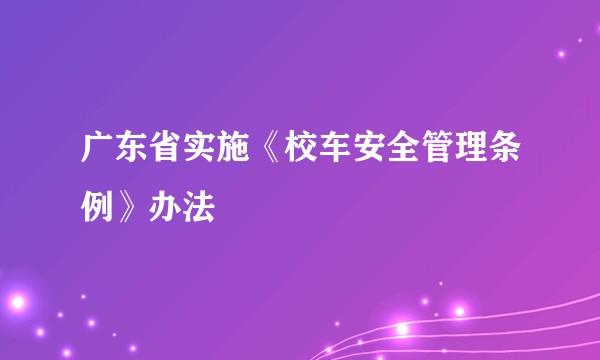 广东省实施《校车安全管理条例》办法