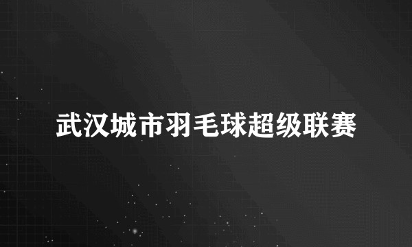 武汉城市羽毛球超级联赛