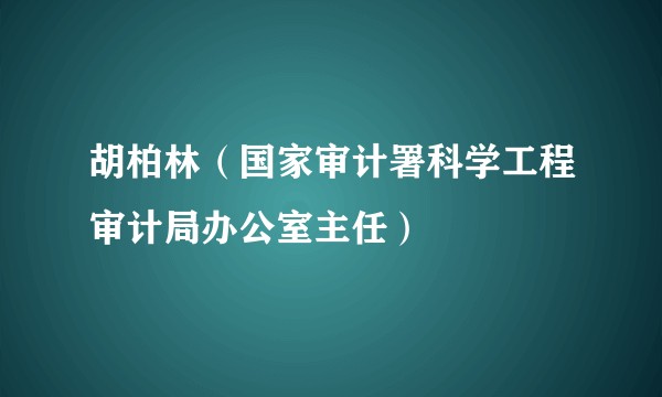 胡柏林（国家审计署科学工程审计局办公室主任）