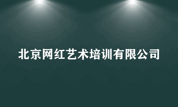 北京网红艺术培训有限公司