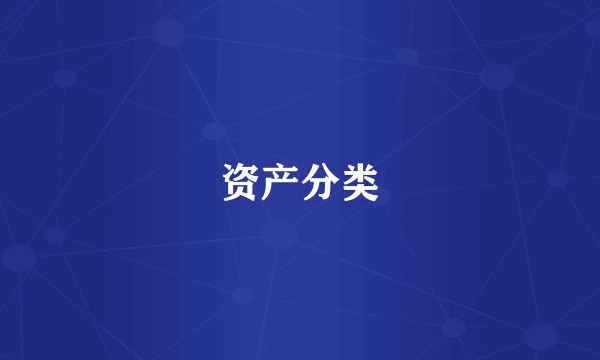 资产分类