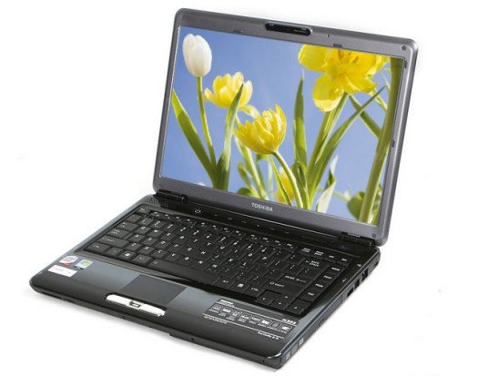 东芝 Satellite M302（灰黑色）