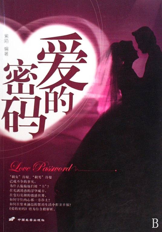 爱的密码（2009年中国长安出版社出版的图书）