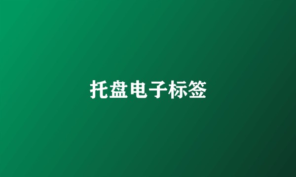 托盘电子标签