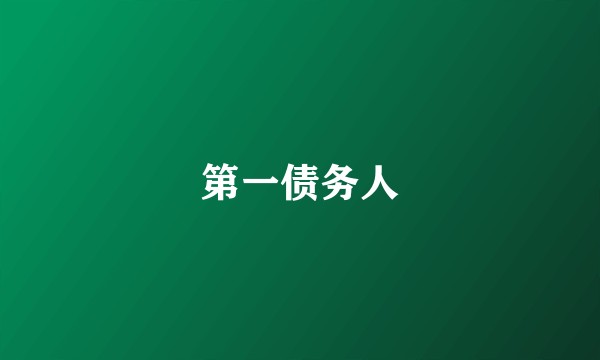 第一债务人