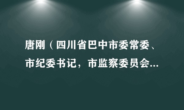 唐刚（四川省巴中市委常委、市纪委书记，市监察委员会副主任、代理主任，二级高级监察官）