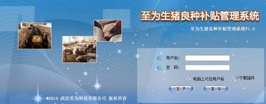 生猪良种补贴项目系统
