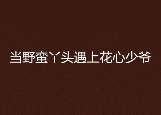当野蛮丫头遇上花心少爷