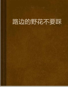 路边的野花不要踩