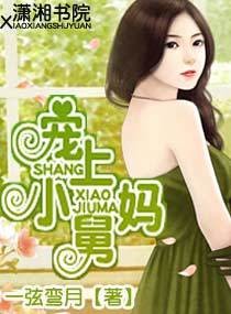 宠上小舅妈