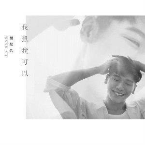 我想我可以（蔡旻佑2015年歌曲）