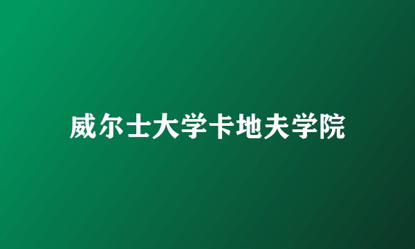 威尔士大学卡地夫学院