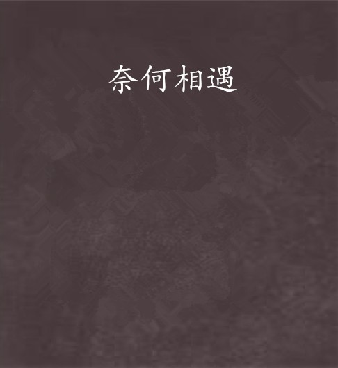 奈何相遇