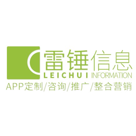 上海雷锤信息技术有限公司
