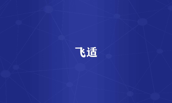 飞适