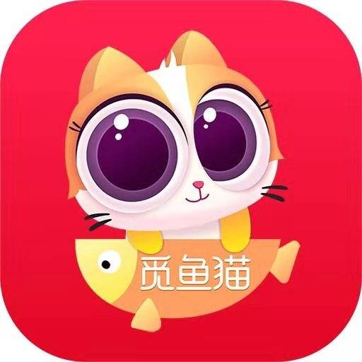 觅鱼猫