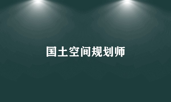 国土空间规划师