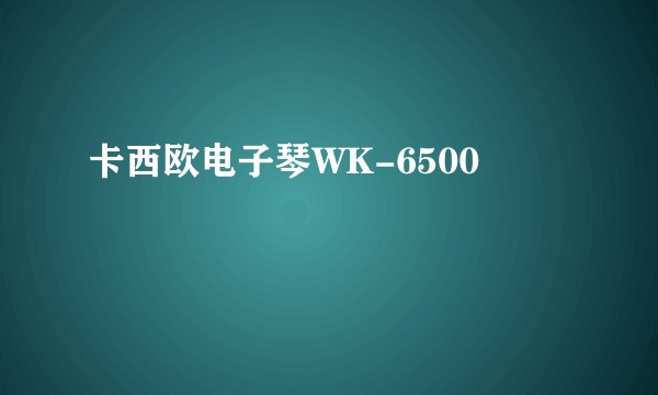 卡西欧电子琴WK-6500