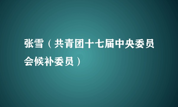 张雪（共青团十七届中央委员会候补委员）