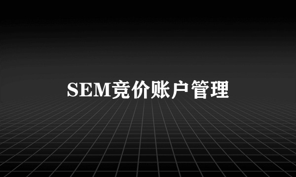 SEM竞价账户管理