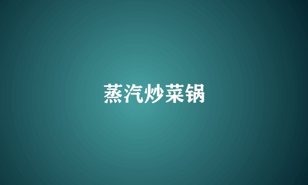 蒸汽炒菜锅