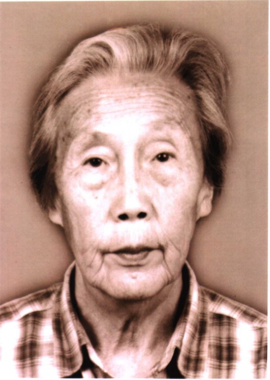 云清（乌兰夫妹妹，原内蒙古人大常委会委员）