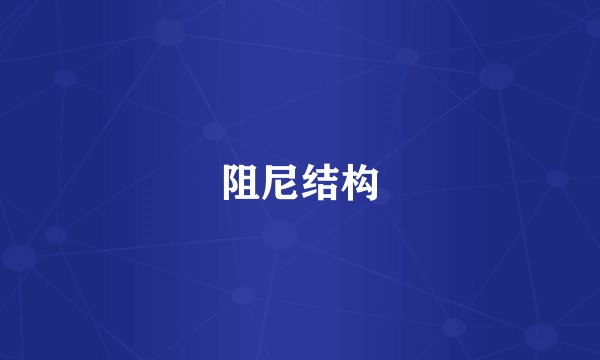 阻尼结构