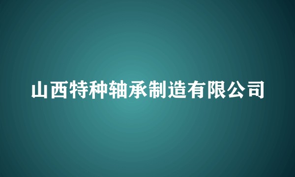 山西特种轴承制造有限公司