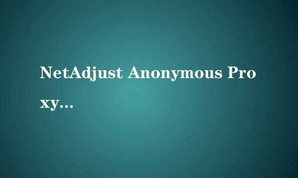 NetAdjust Anonymous Proxy V5.4