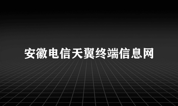 安徽电信天翼终端信息网