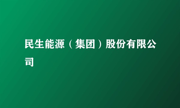 民生能源(集团)股份有限公司