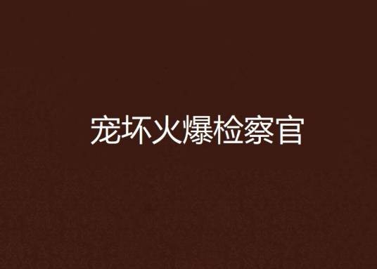 宠坏火爆检察官
