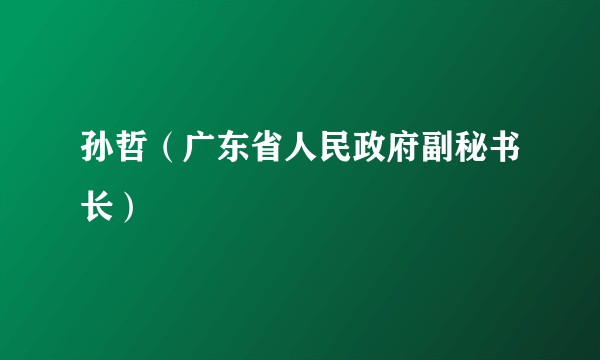 孙哲（广东省人民政府副秘书长）
