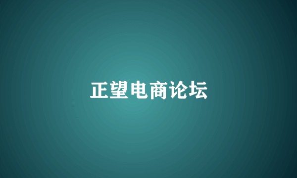 正望电商论坛