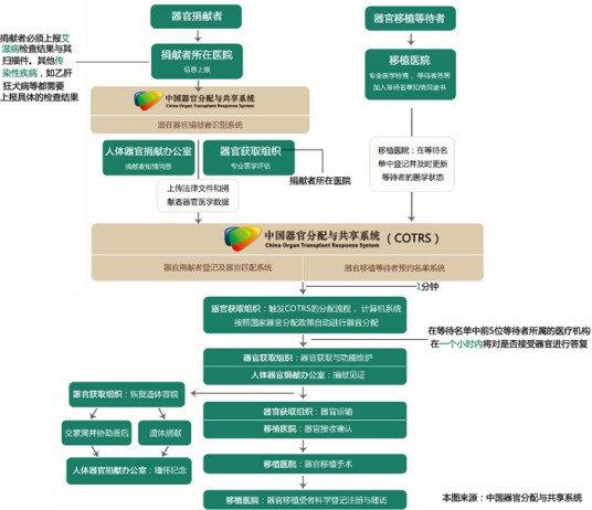 中国人体器官分配与共享系统