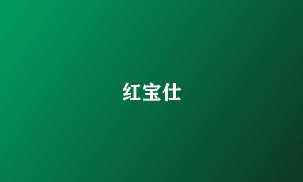 红宝仕