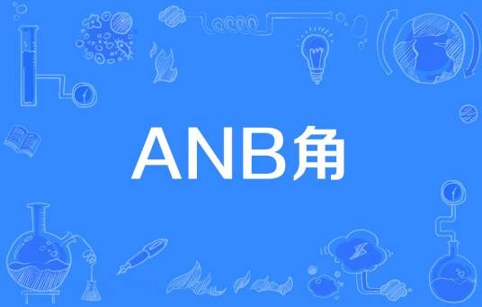 ANB角