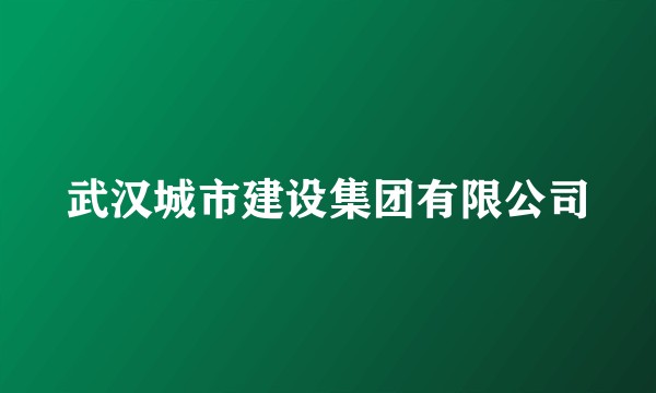 武汉城市建设集团有限公司