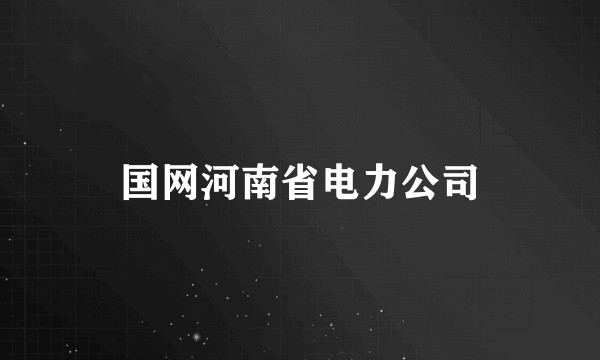 国网河南省电力公司