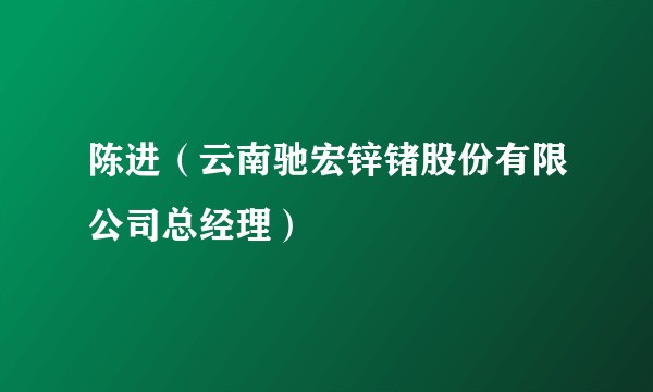 陈进（云南驰宏锌锗股份有限公司总经理）
