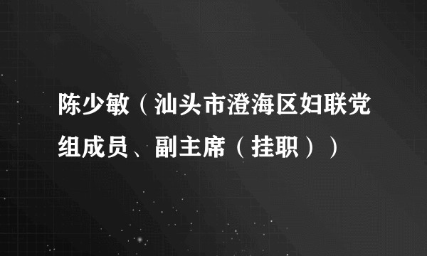 陈少敏（汕头市澄海区妇联党组成员、副主席（挂职））
