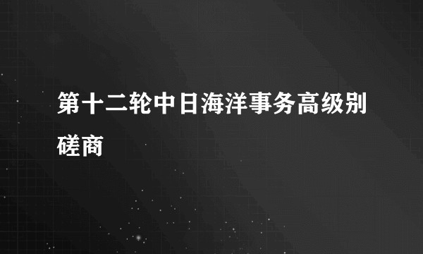 第十二轮中日海洋事务高级别磋商