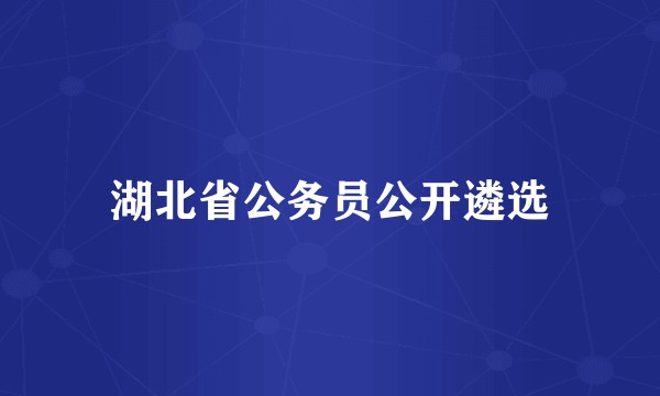 湖北省公务员公开遴选