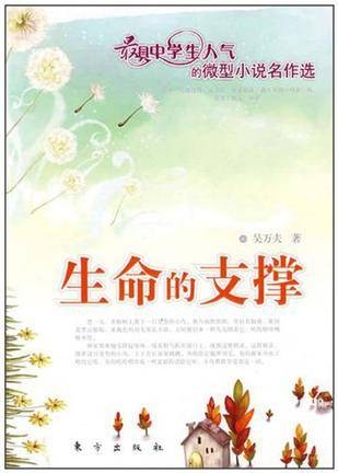 生命的支撑（东方出版社出版的书籍）