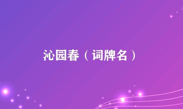 沁园春（词牌名）