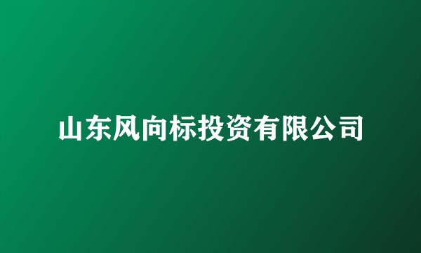 山东风向标投资有限公司