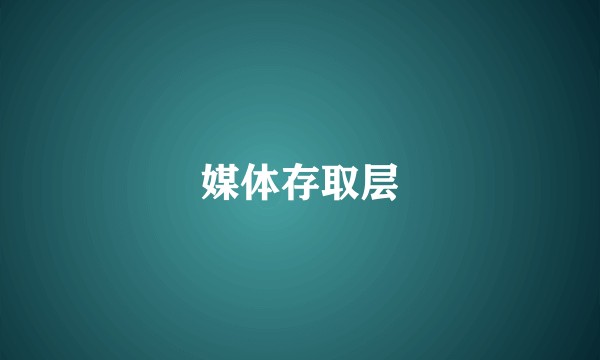 媒体存取层
