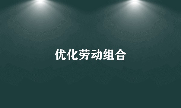优化劳动组合