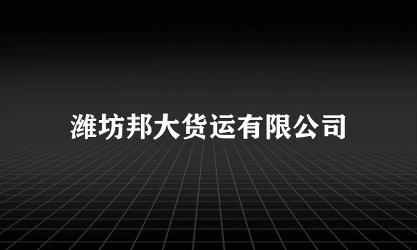 潍坊邦大货运有限公司