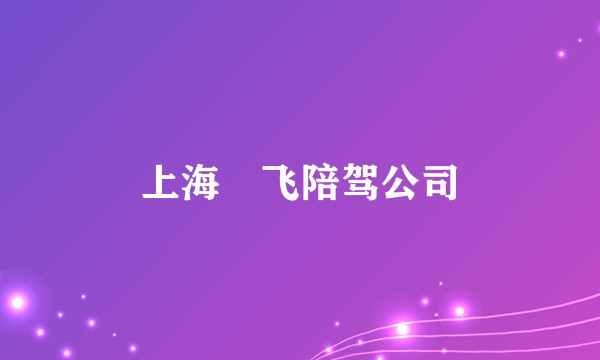 上海珅飞陪驾公司